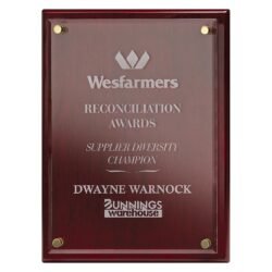 Advantage Acrylic - Rosewood - Image 2