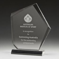 Sierra Award - Image 2