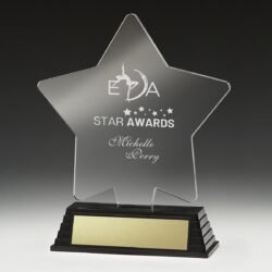 Torchlite Star - Image 1