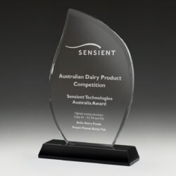 Cirrus Award - Image 1