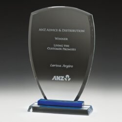 Blue Shield Award - Image 1