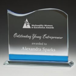 Blue Tidal Award - Image 1