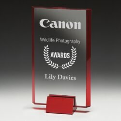 Sentry Red - Image 1