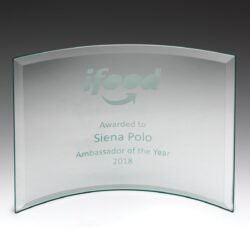 Concave Award - Image 1
