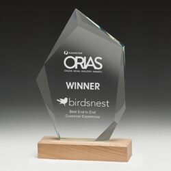 Journey Award - Image 1