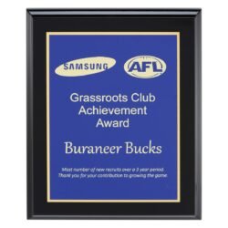 Designer Blue Plaque - Image 1