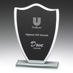 Black Glass Shield - Image 1