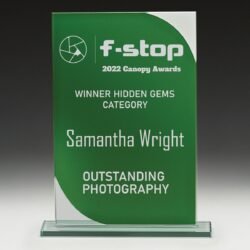 Fusion - Green - Image 1