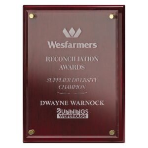 Advantage Acrylic - Rosewood