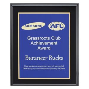 Designer Blue Plaque